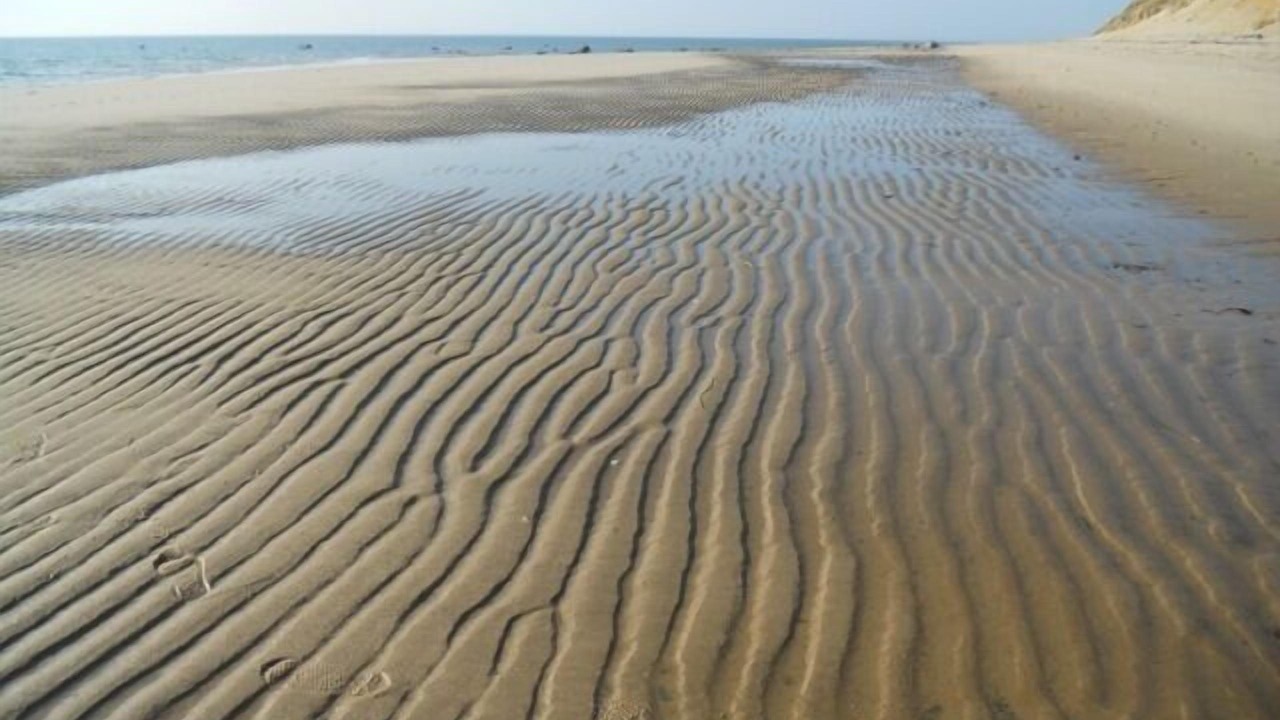 Photo of Others in Wellfleet