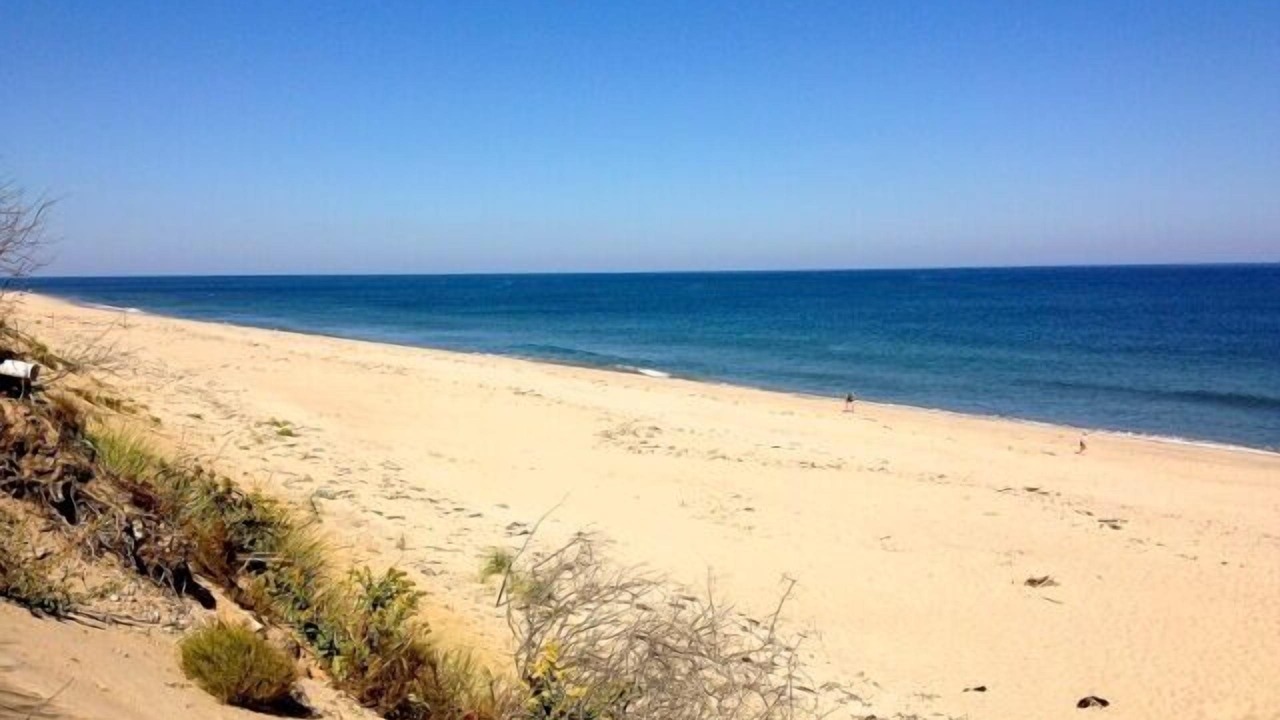 Photo of Others in Wellfleet