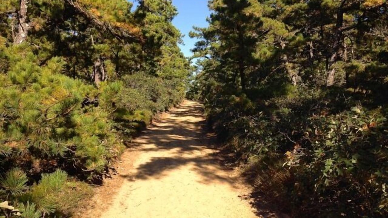 Photo of Outdoor in Wellfleet