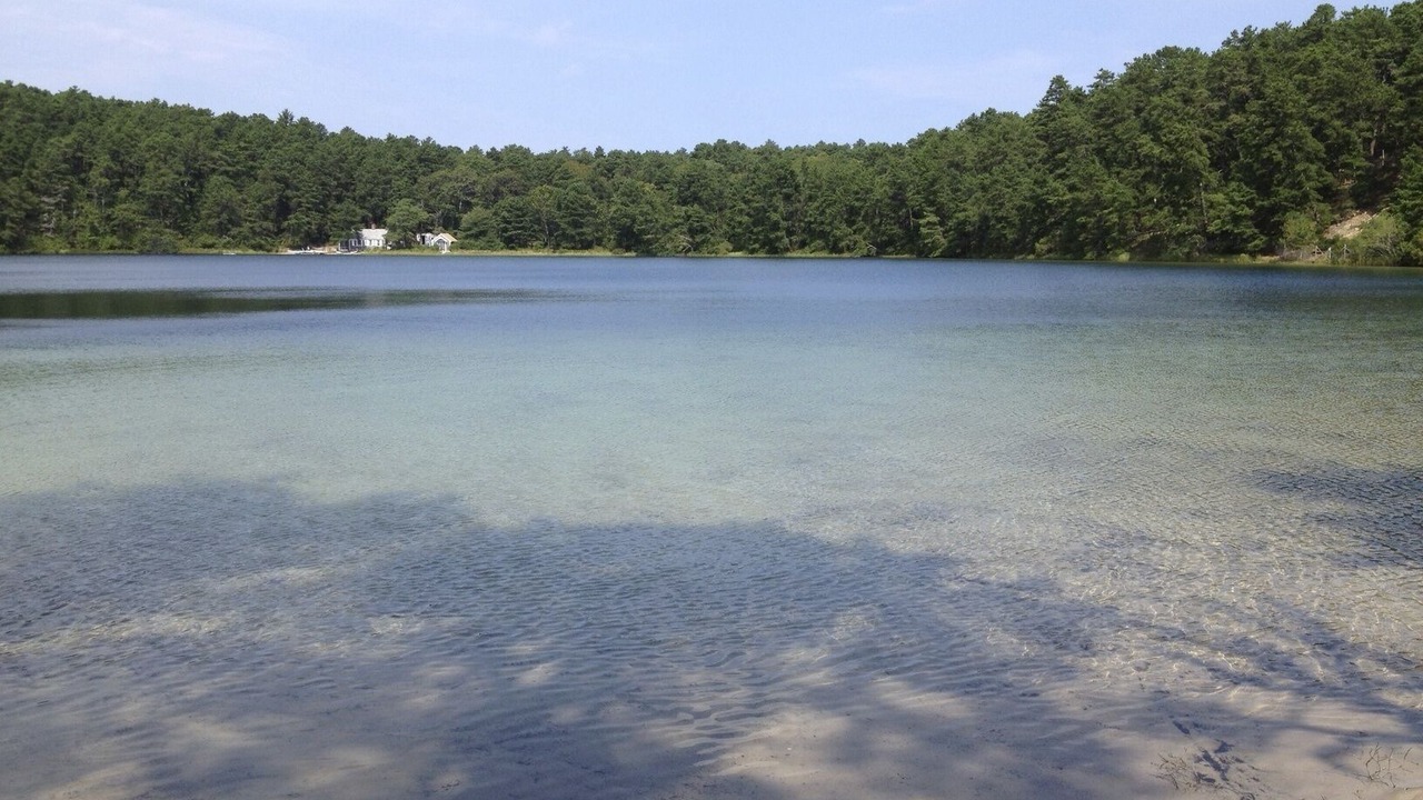 Photo of Others in Wellfleet