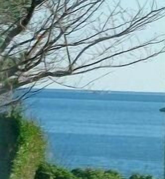 Photo of Others in Mashpee