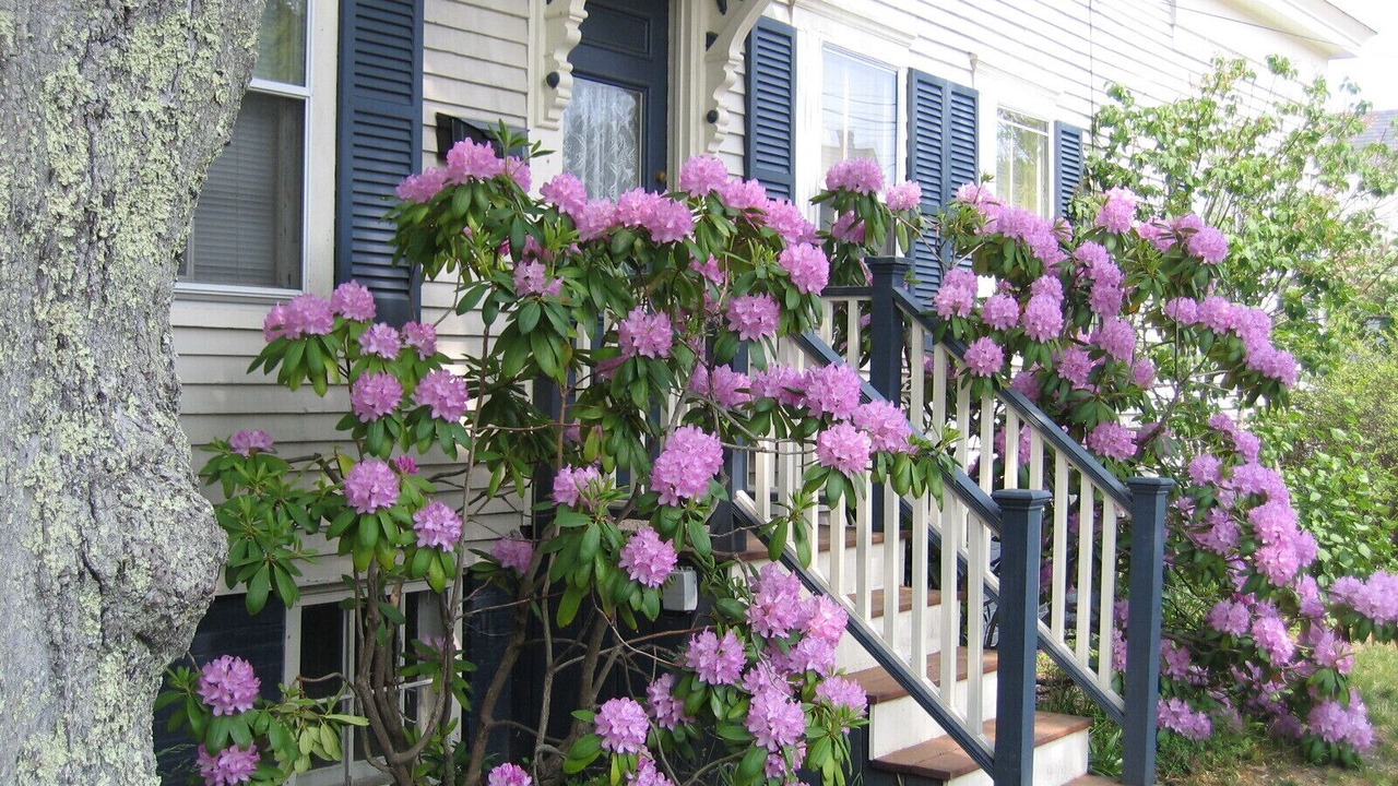 Photo of Outdoor in Provincetown