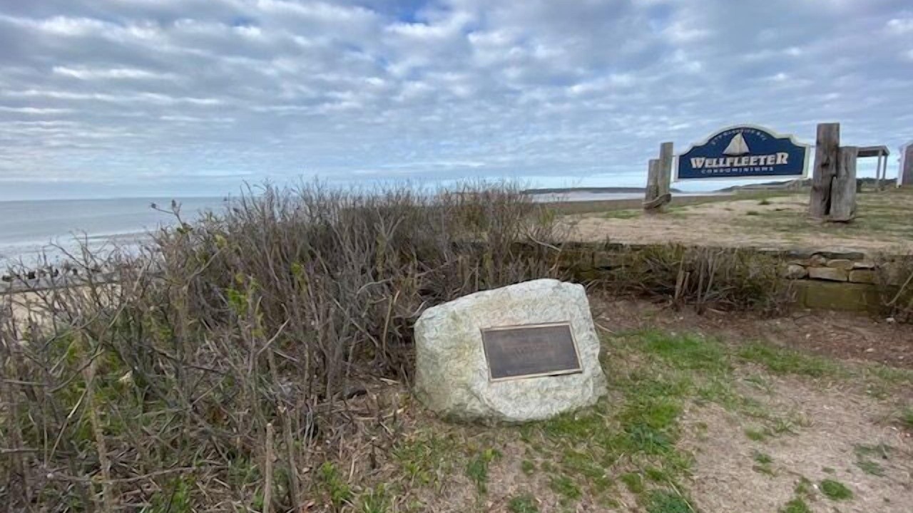 Photo of Outdoor in Wellfleet