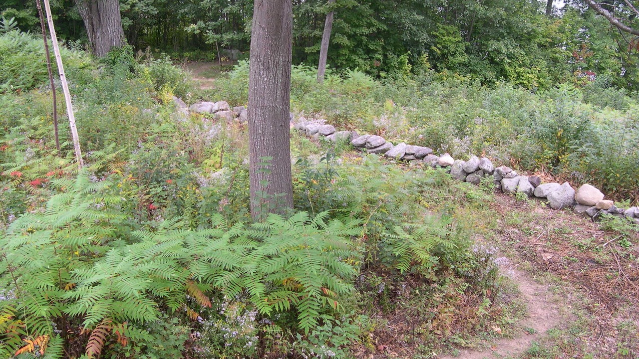Photo of Outdoor in Sandwich