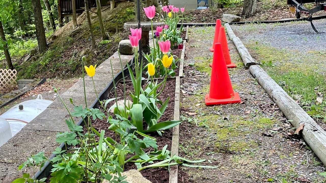 Photo of Outdoor in Fort Ann