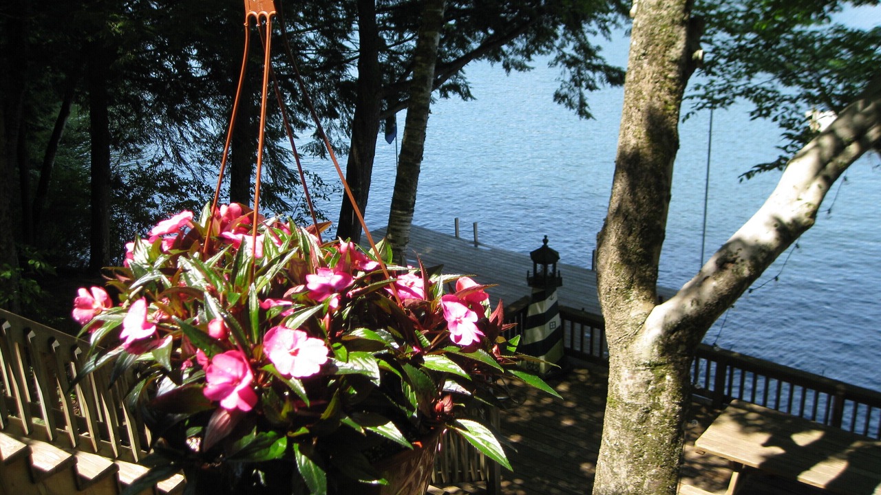 Photo of Others in Fort Ann