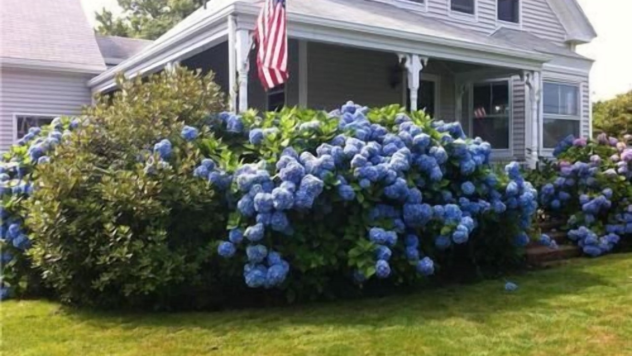 Photo of Outdoor in Chatham
