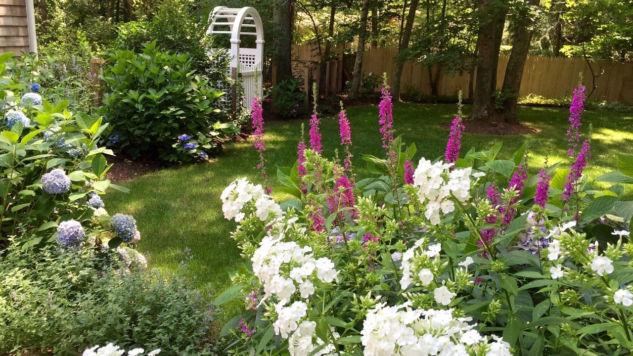 Photo of Outdoor in Water Mill