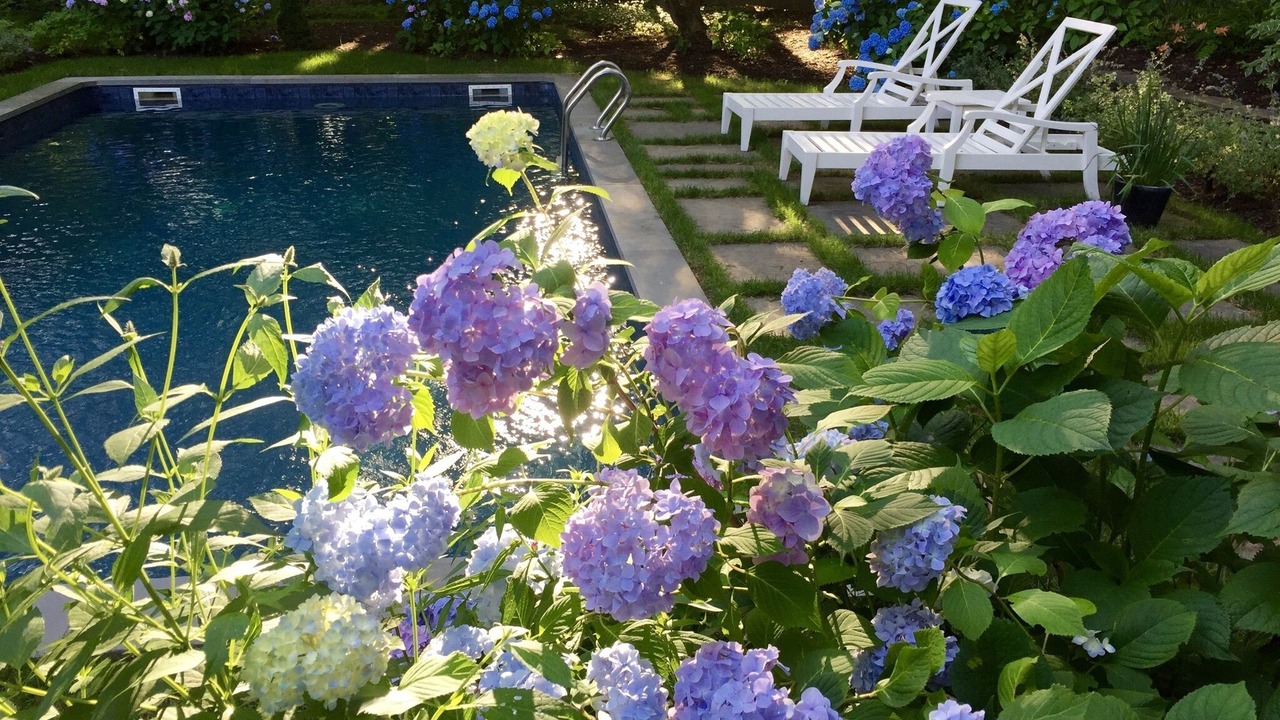 Photo of Outdoor in Water Mill