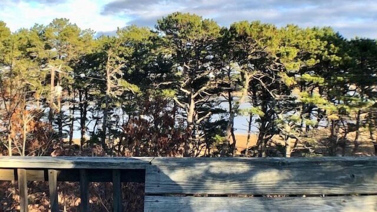 Photo of Others in Pleasant Point