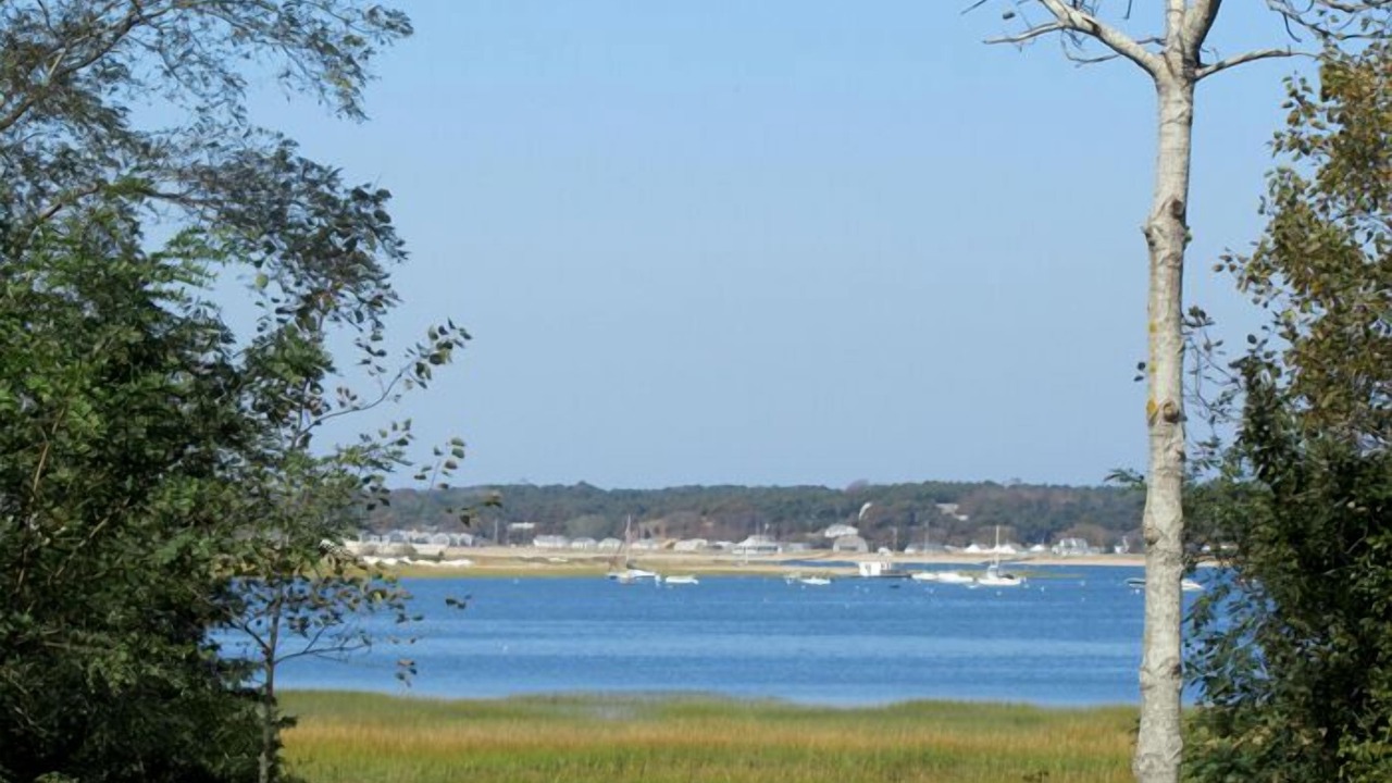 Photo of Others in Indian Neck Heights