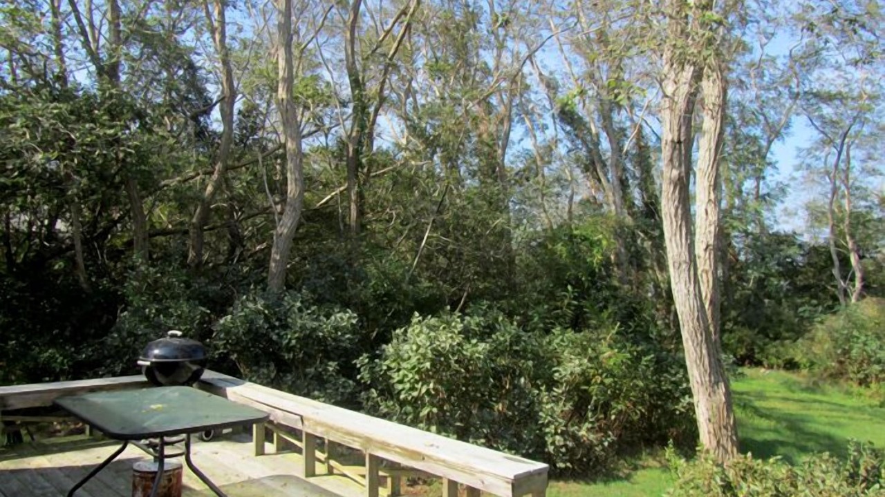 Photo of Outdoor in Indian Neck Heights