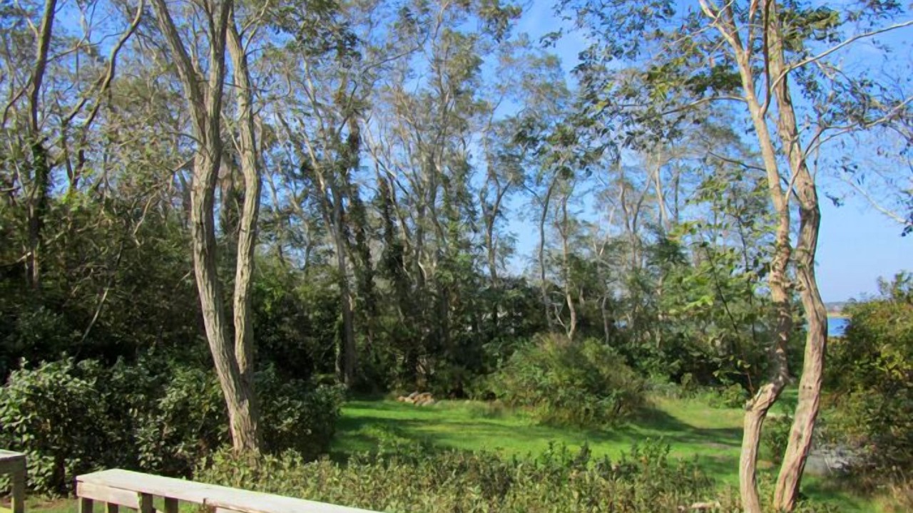 Photo of Outdoor in Indian Neck Heights