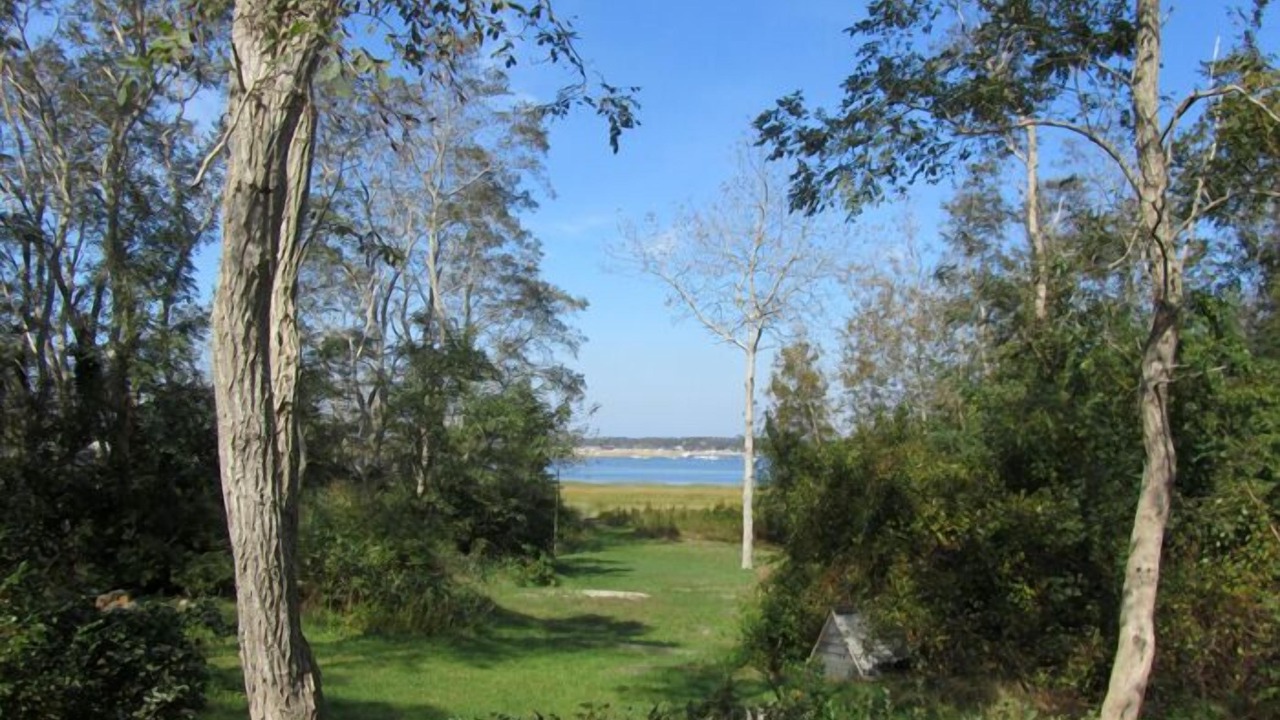 Photo of Outdoor in Indian Neck Heights