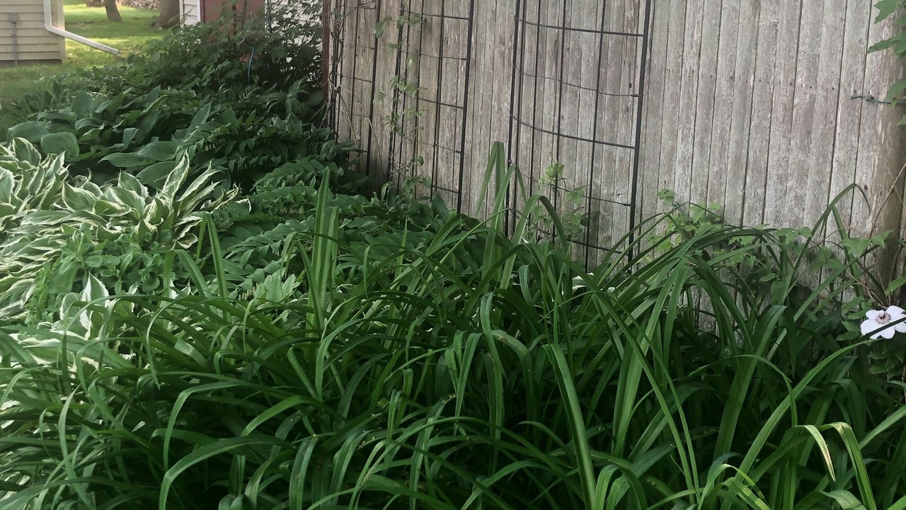 Photo of Outdoor in Newport East