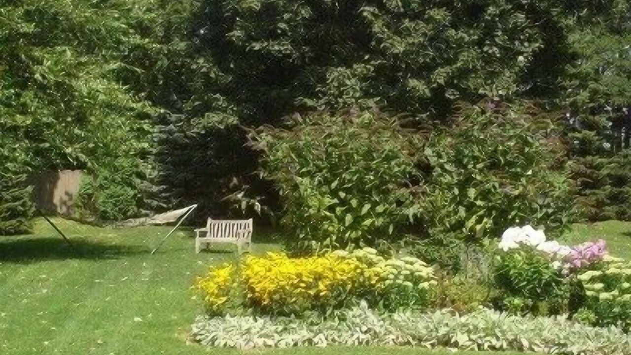 Photo of Others in Newport East