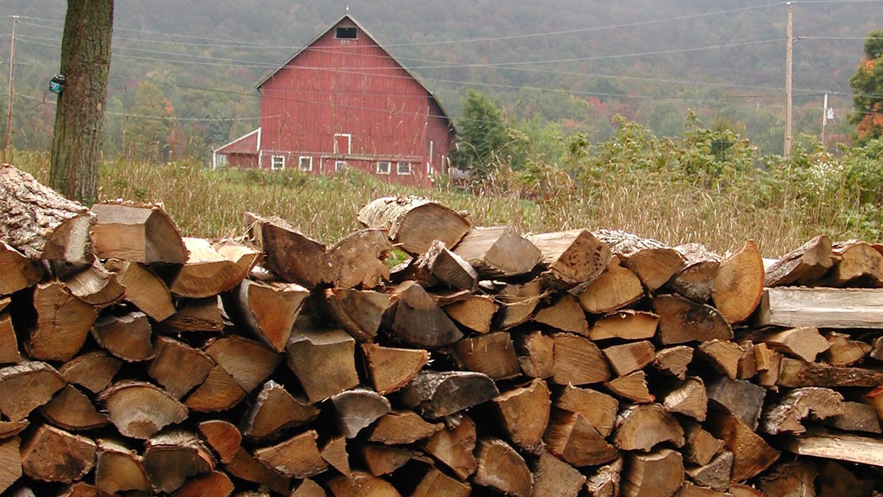 Photo of Others in Moretown