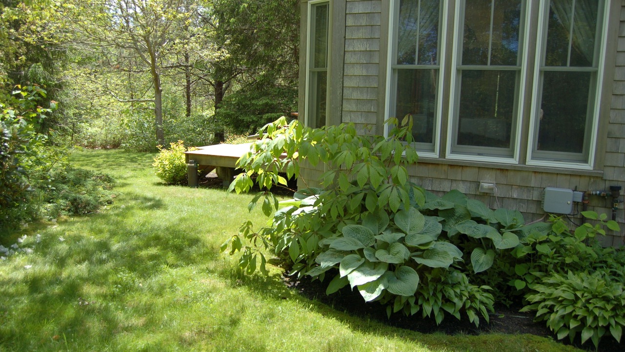 Photo of Outdoor in West Tisbury