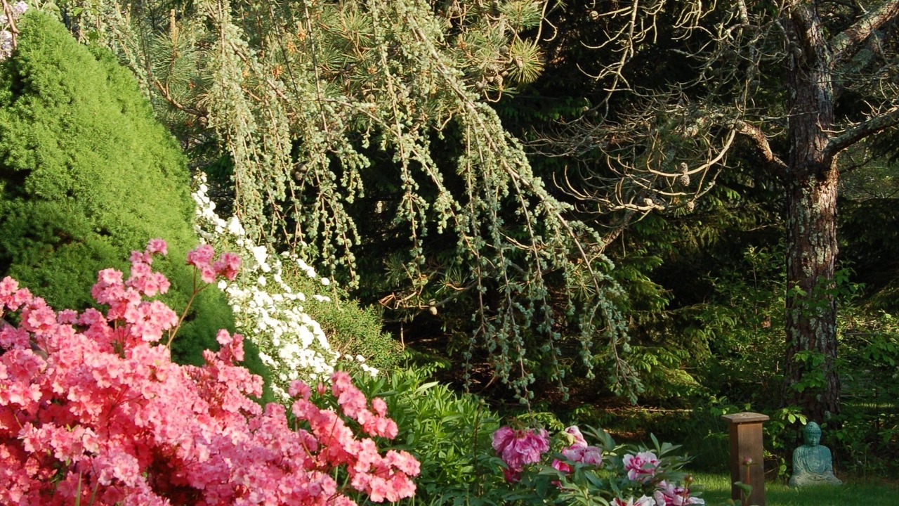 Photo of Outdoor in West Tisbury