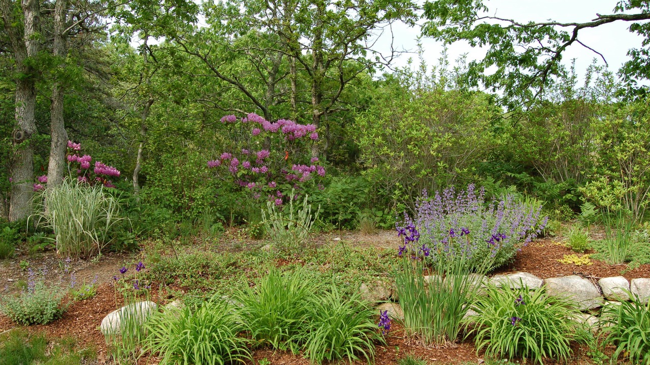 Photo of Outdoor in West Tisbury