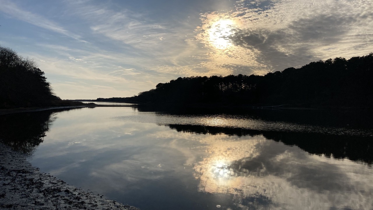 Photo of Others in West Tisbury