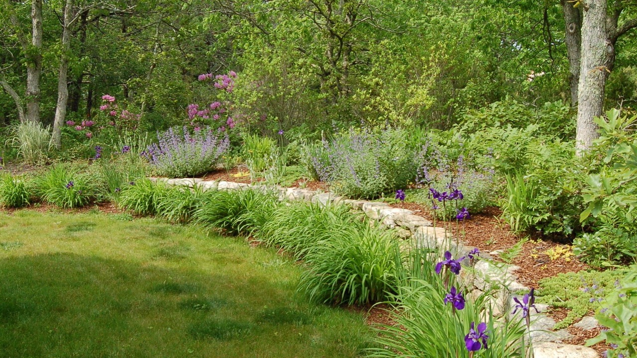 Photo of Outdoor in West Tisbury