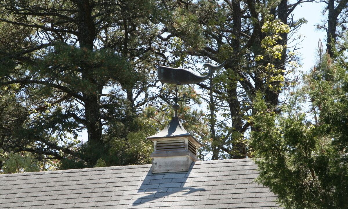 Photo of Outdoor in North Chatham
