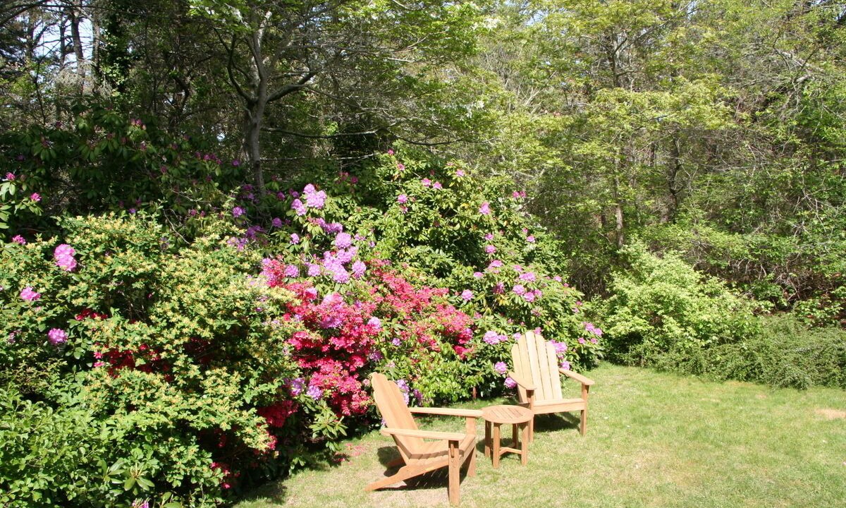 Photo of Outdoor in North Chatham