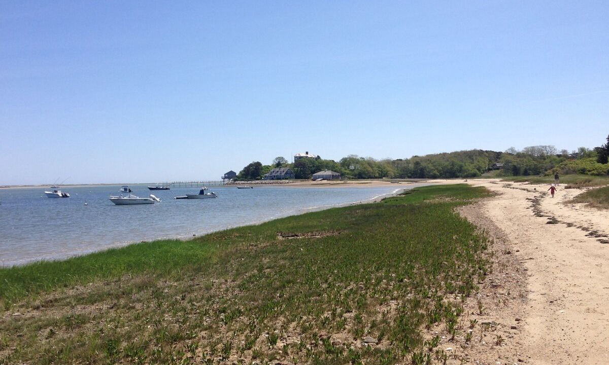 Photo of Others in North Chatham