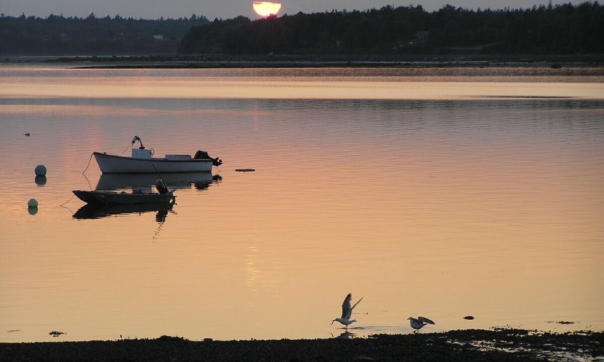 Photo of Others in Bar Harbor