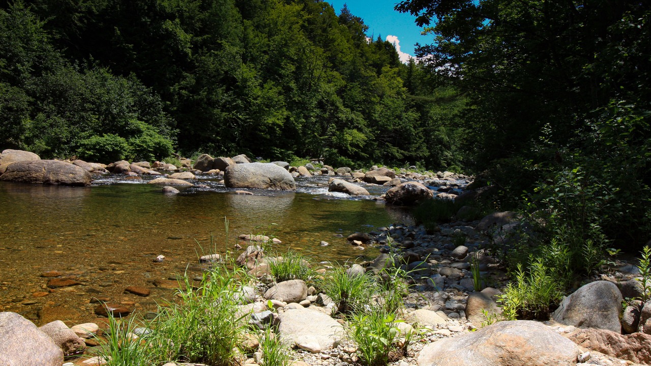Photo of Outdoor in Jackson