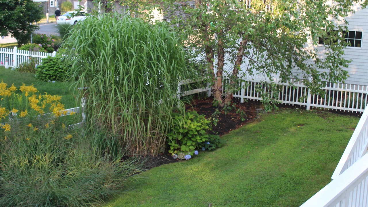 Photo of Outdoor in Hampton