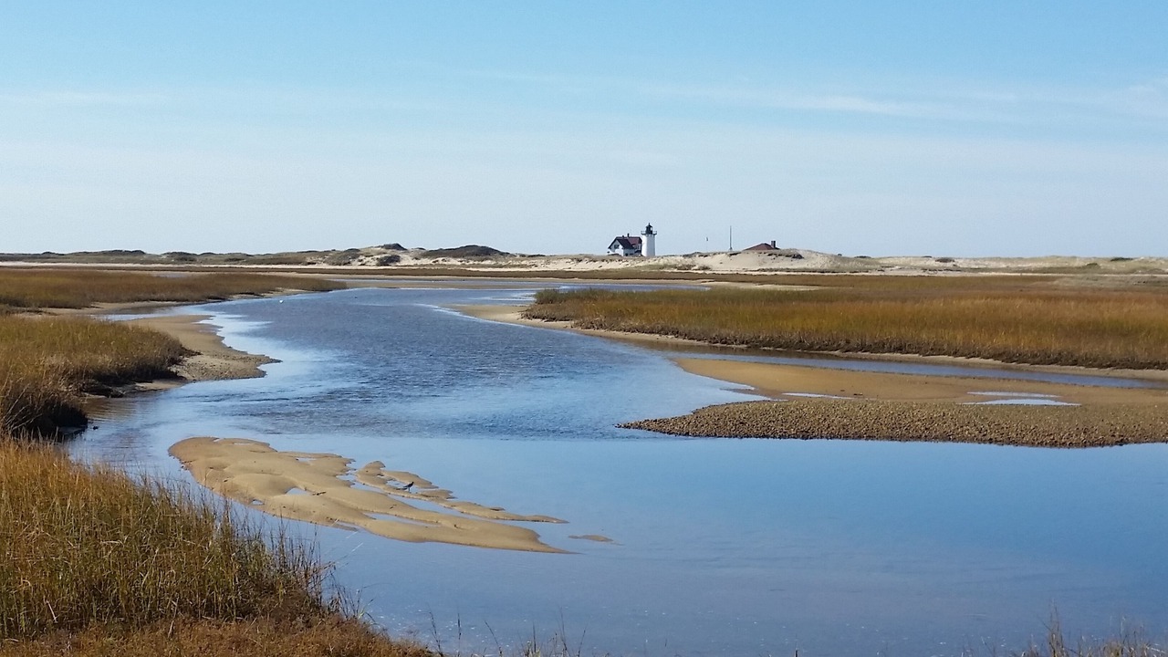 Photo of Others in Provincetown