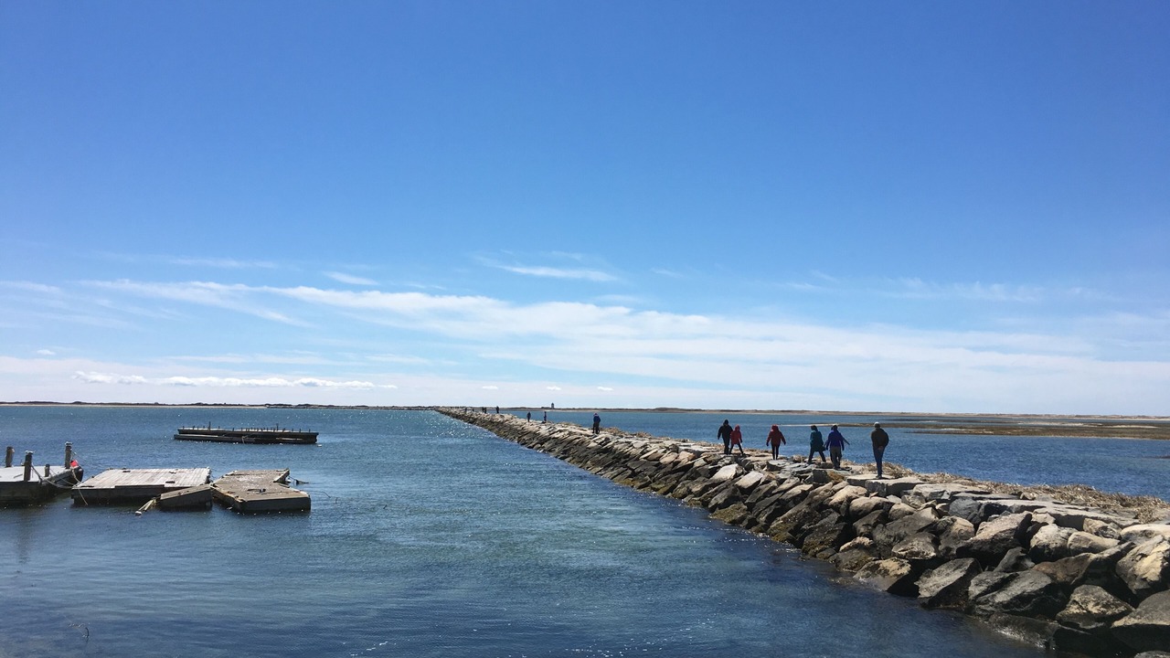 Photo of Others in Provincetown