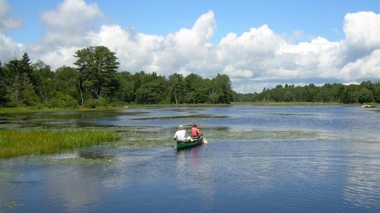 Photo of Others in Isle of Springs