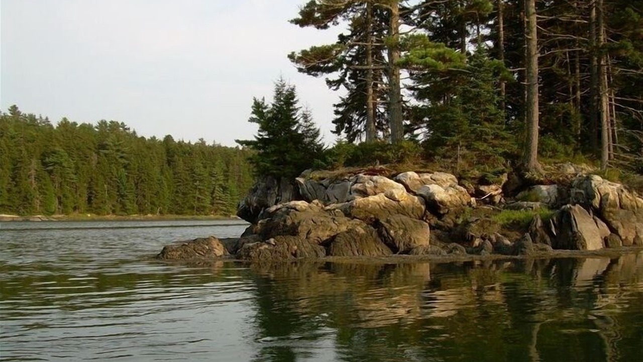 Photo of Others in Isle of Springs