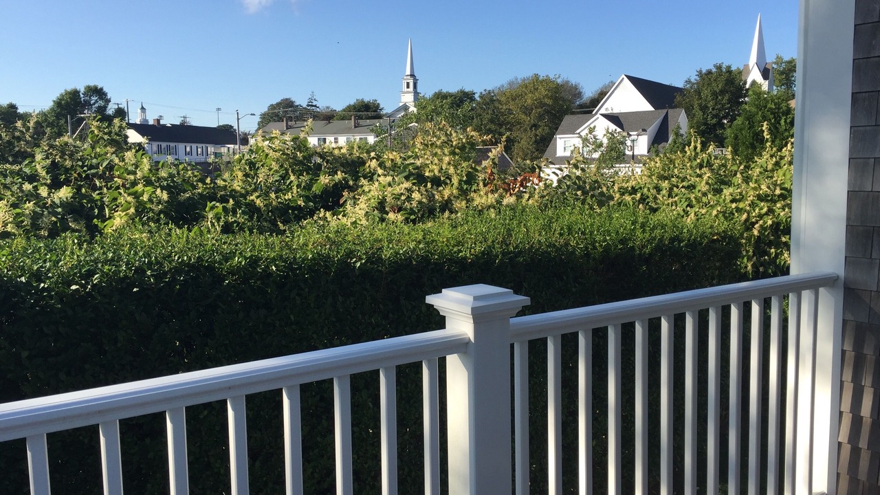 Photo of Outdoor in Chatham