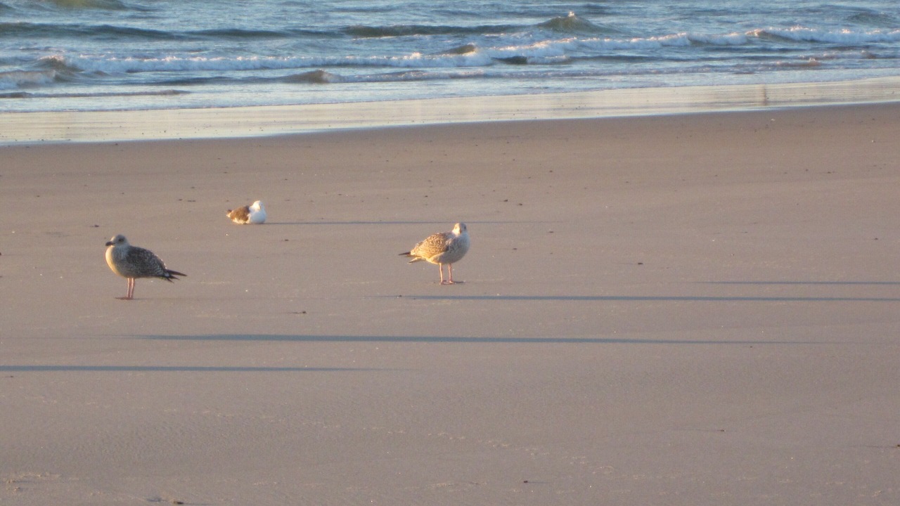 Photo of Others in Hampton