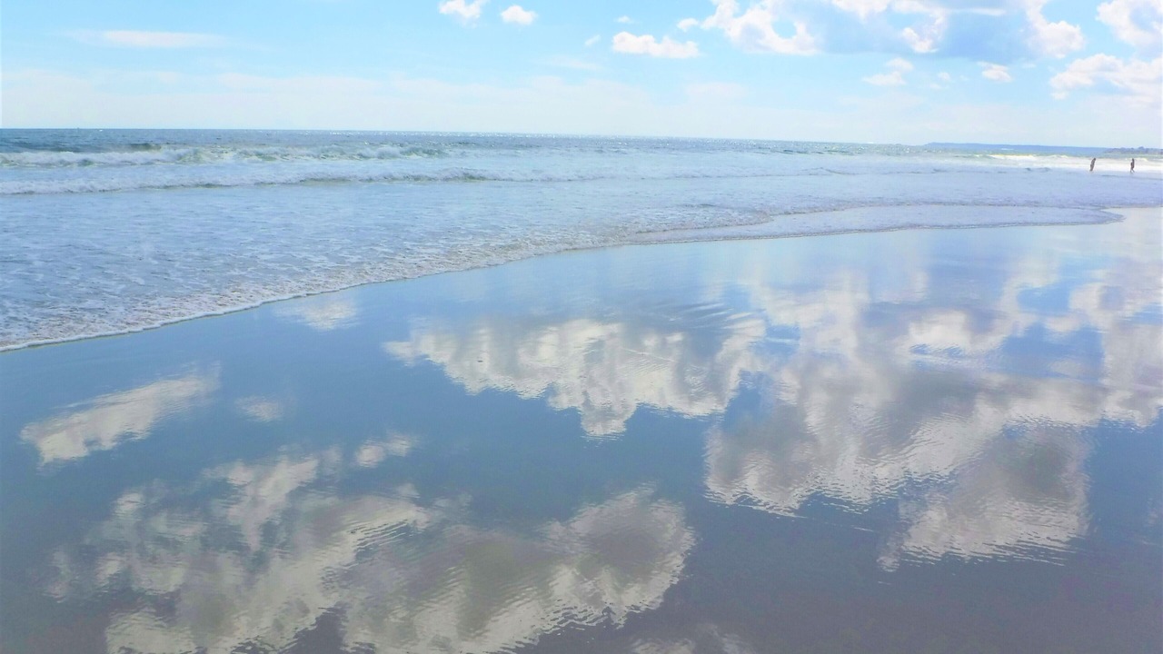 Photo of Others in Wells Beach