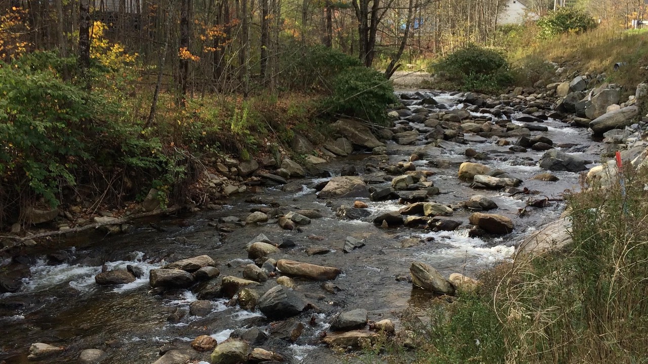 Photo of Others in West Wardsboro