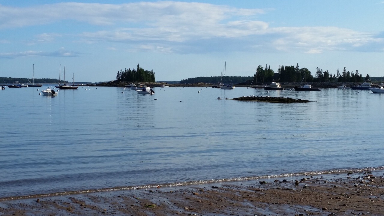Photo of Others in Seal Harbor
