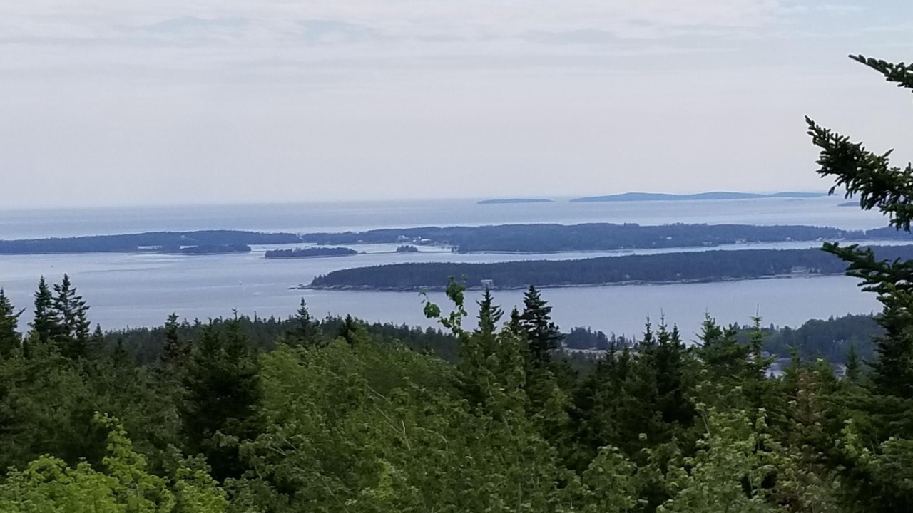 Photo of Others in Seal Harbor
