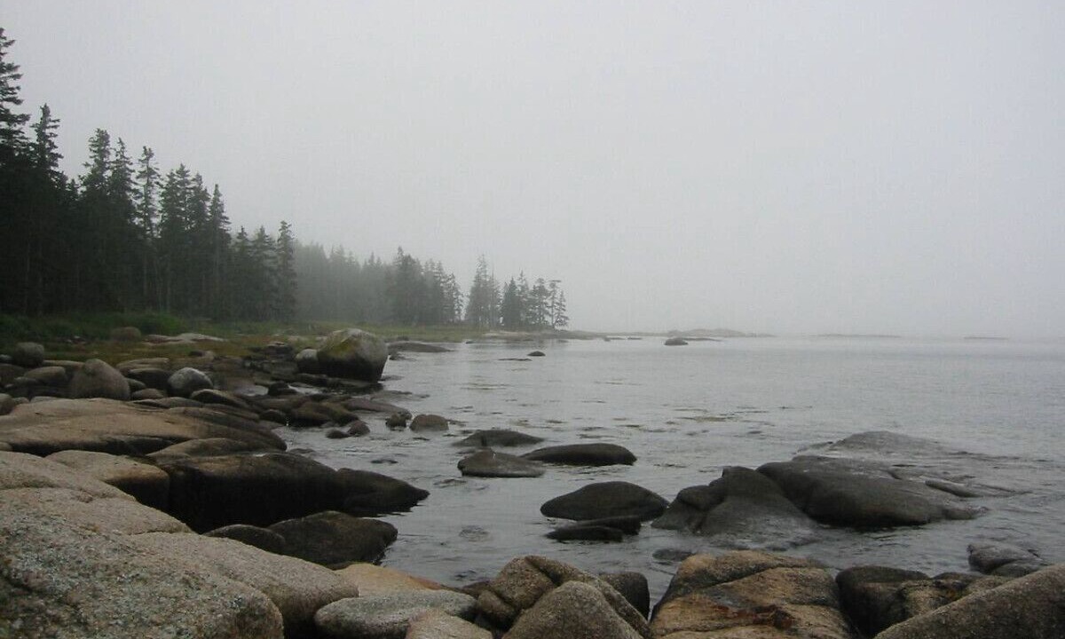 Photo of Others in Bar Harbor