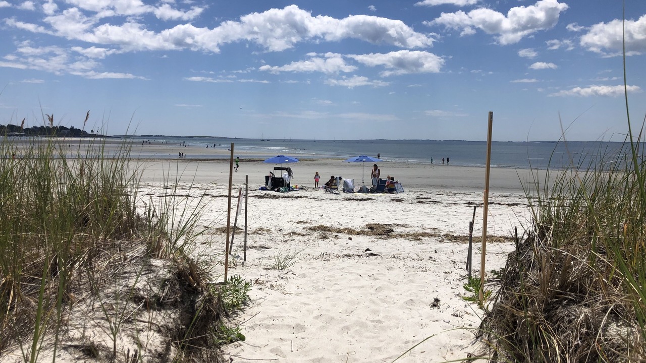 Photo of Others in Pine Point