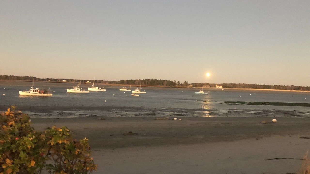 Photo of Others in Pine Point