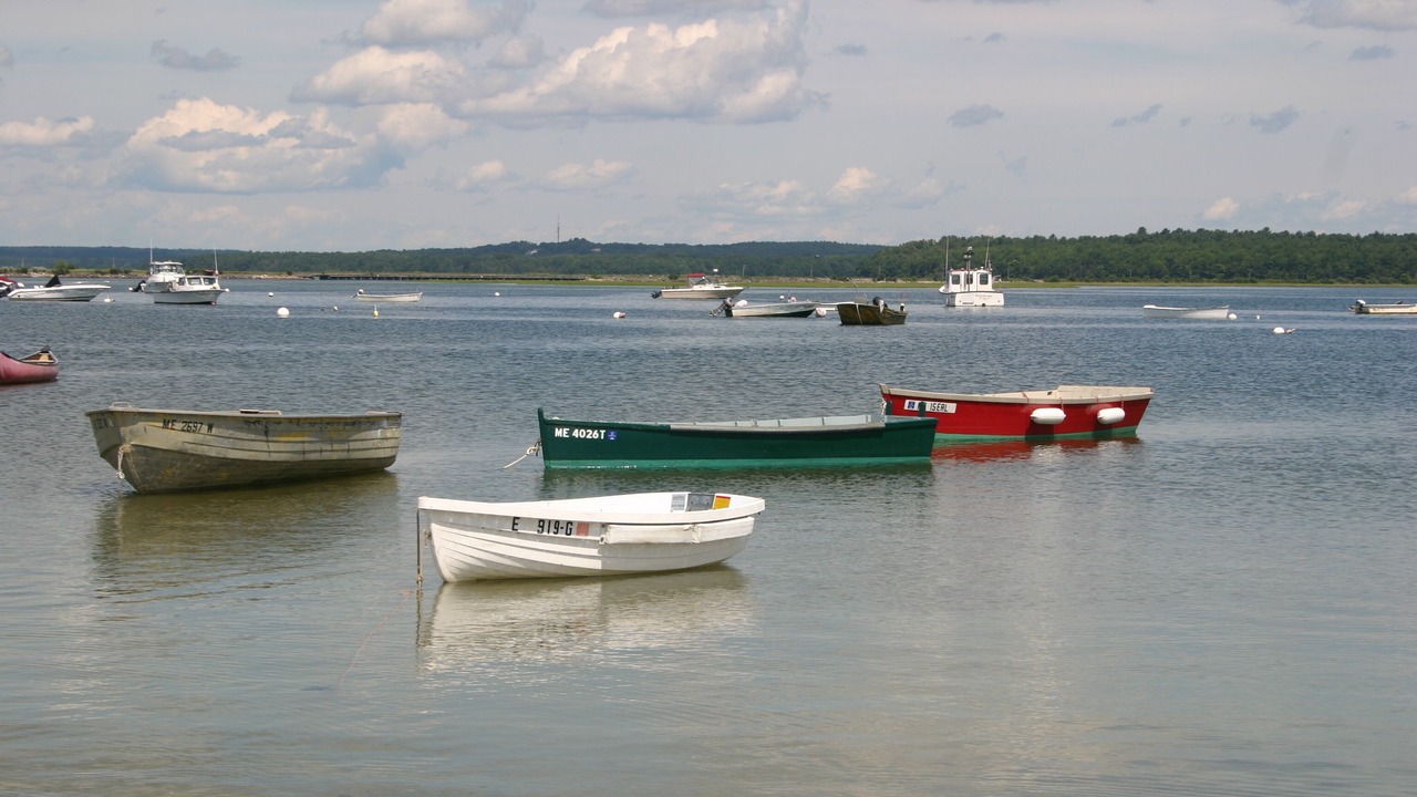 Photo of Others in Pine Point