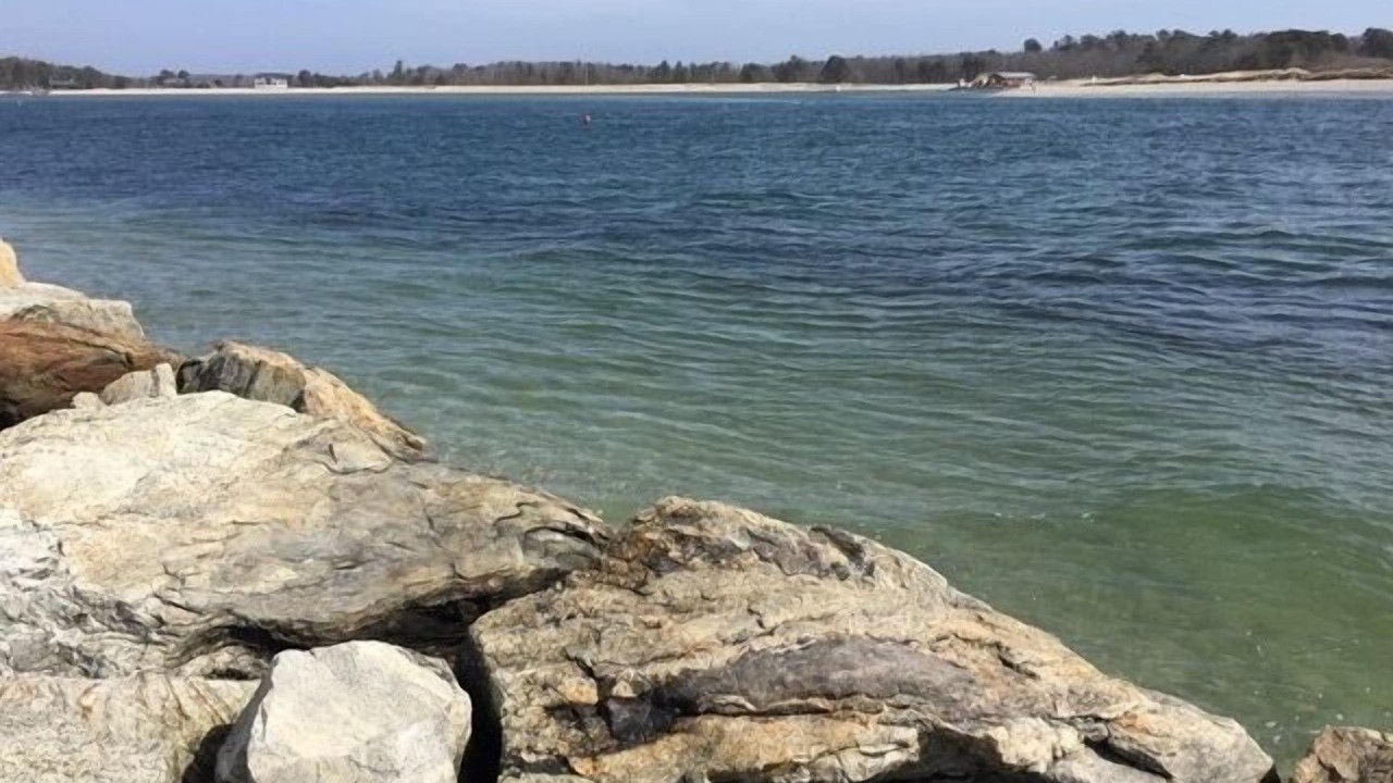 Photo of Others in Pine Point