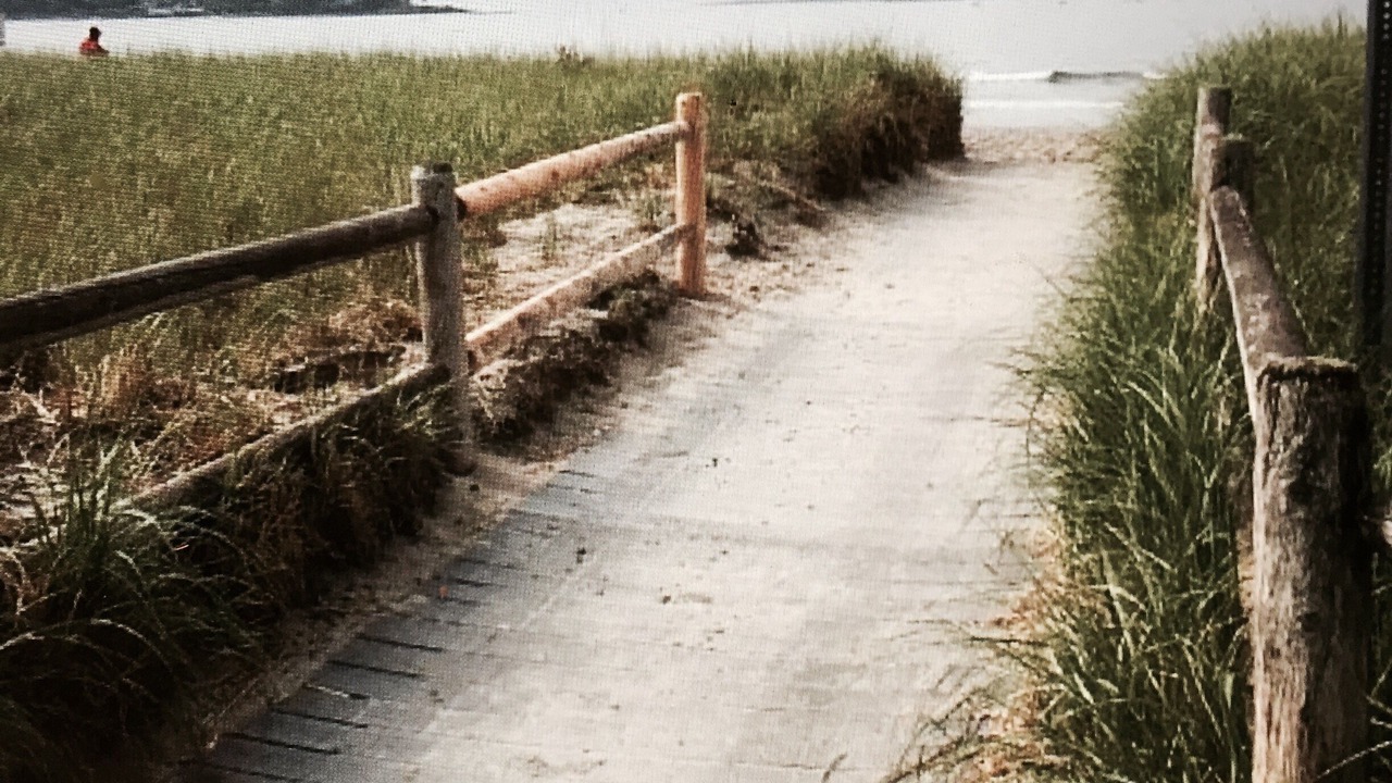 Photo of Others in Pine Point