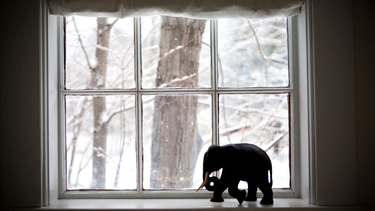 Photo of Others in Gorham