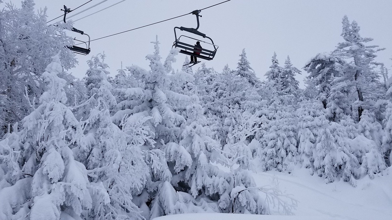 Photo of Others in Stratton Mountain